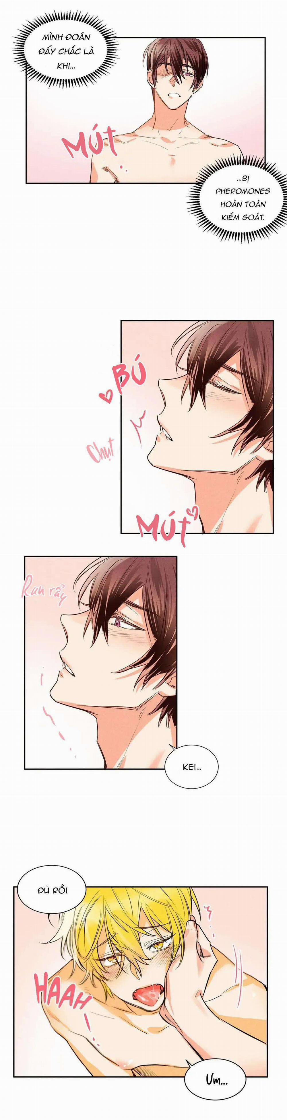 Chìm Trong Pheromone 8 trang 17