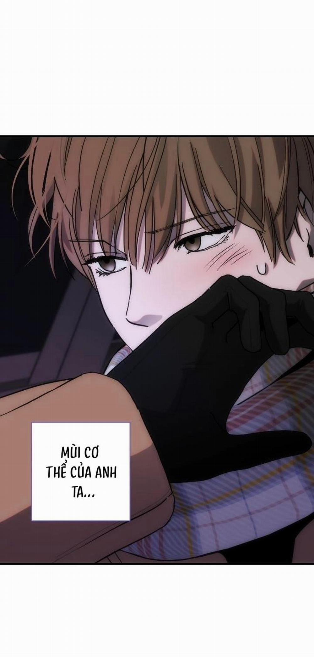 Chìm Trong Rung Cảm 12 trang 24