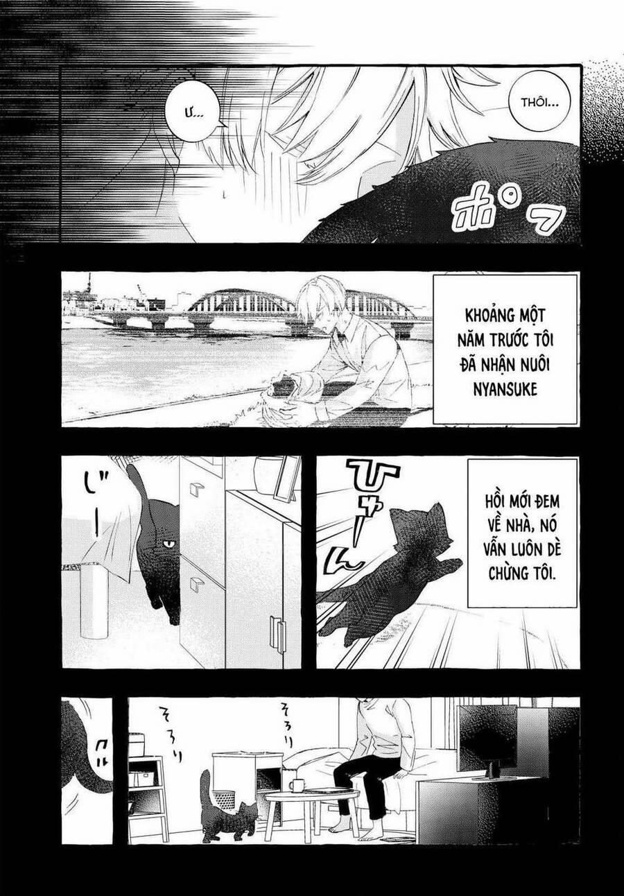 Chiteki De Cool Na Kouhai Bijo, Ore No Kai Neko Ni Naru 1 trang 3