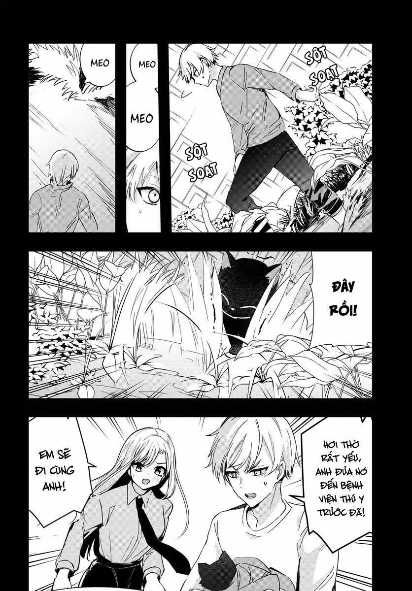 Chiteki De Cool Na Kouhai Bijo, Ore No Kai Neko Ni Naru 6 trang 4