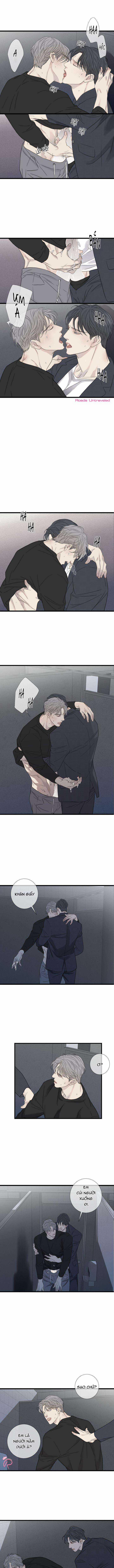 Chờ Cậu Nơi Đây 21 trang 5