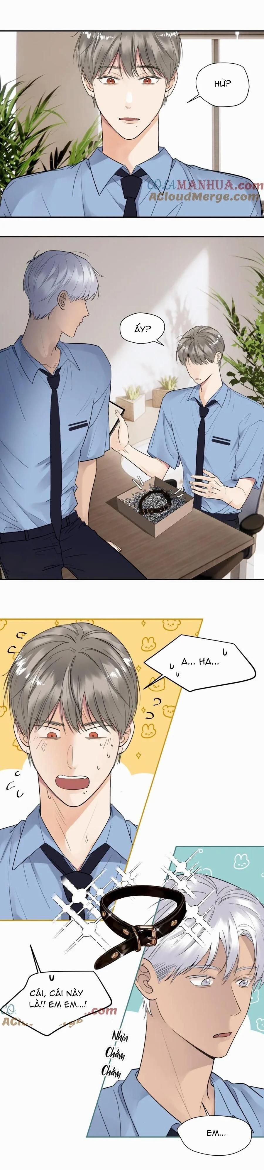 Chó Chuộc Tội 12 trang 8