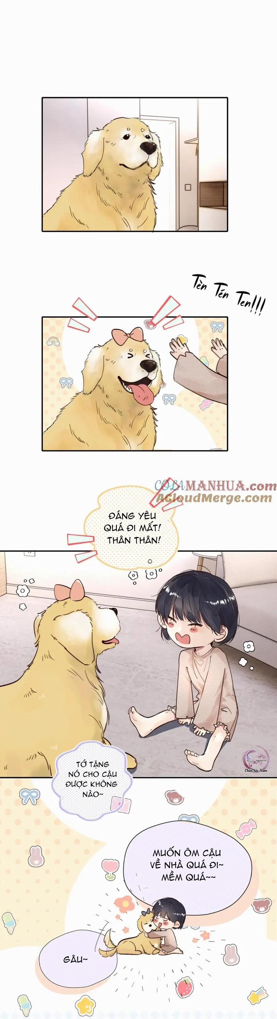 Chó Chuộc Tội 16 trang 0