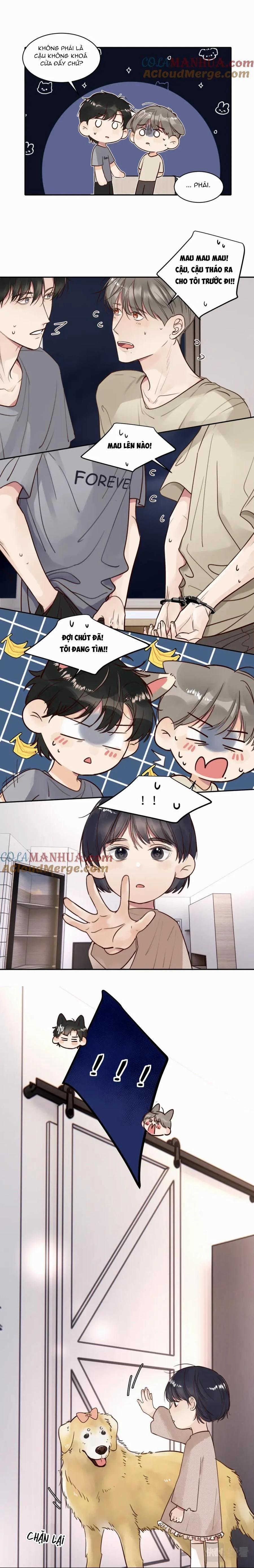 Chó Chuộc Tội 16 trang 7