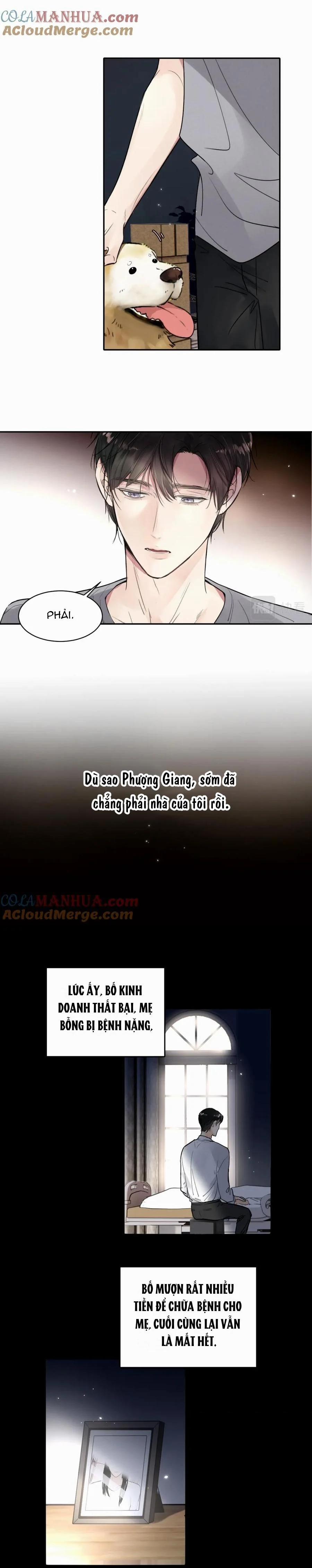 Chó Chuộc Tội 17 trang 11