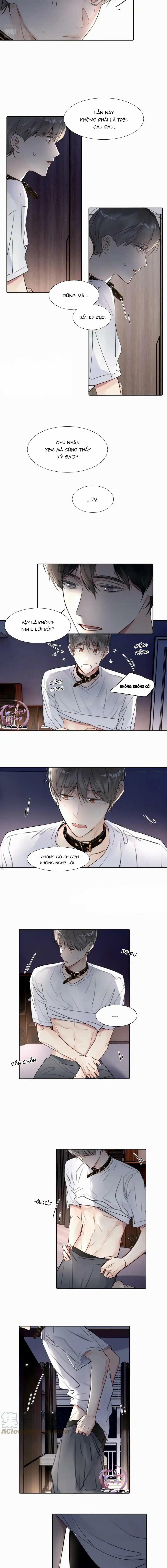 Chó Chuộc Tội 26 trang 2