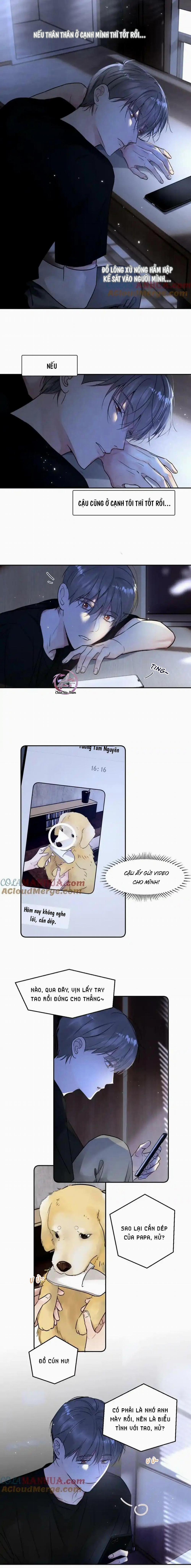 Chó Chuộc Tội 28 trang 5