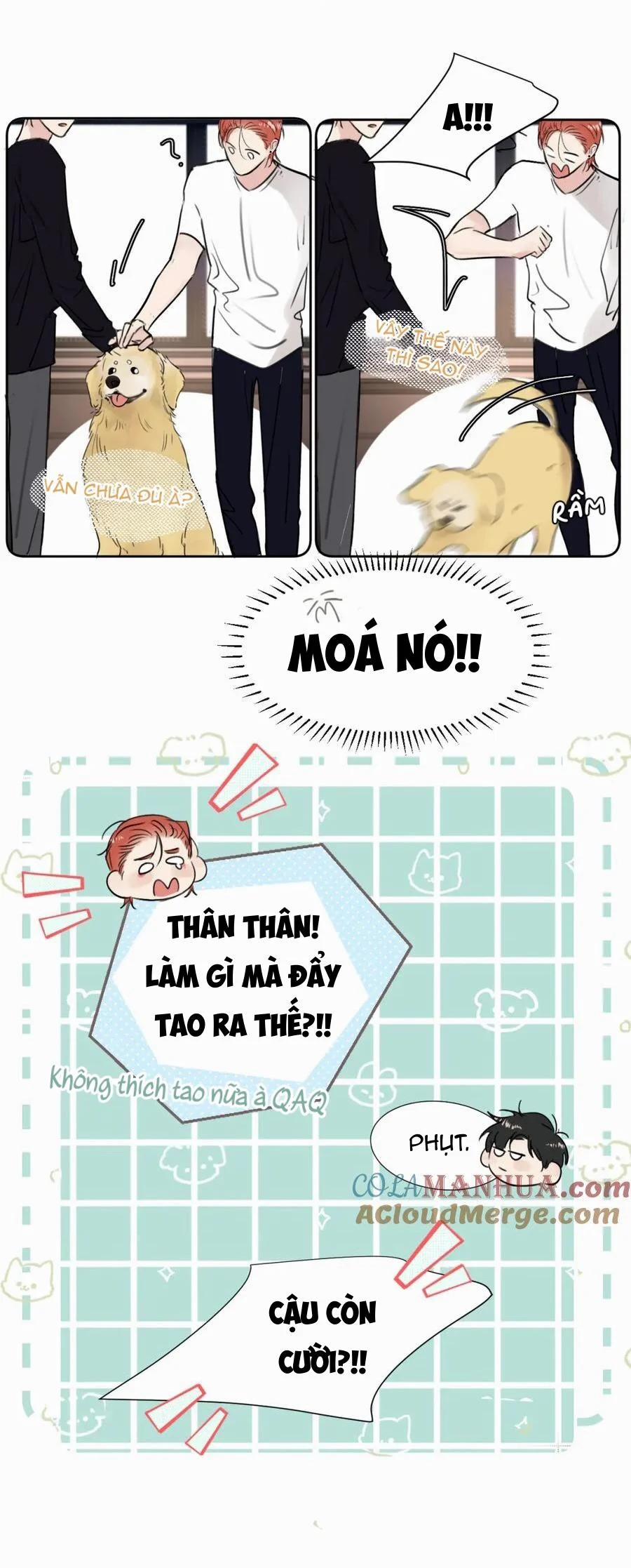 Chó Chuộc Tội 30 trang 15