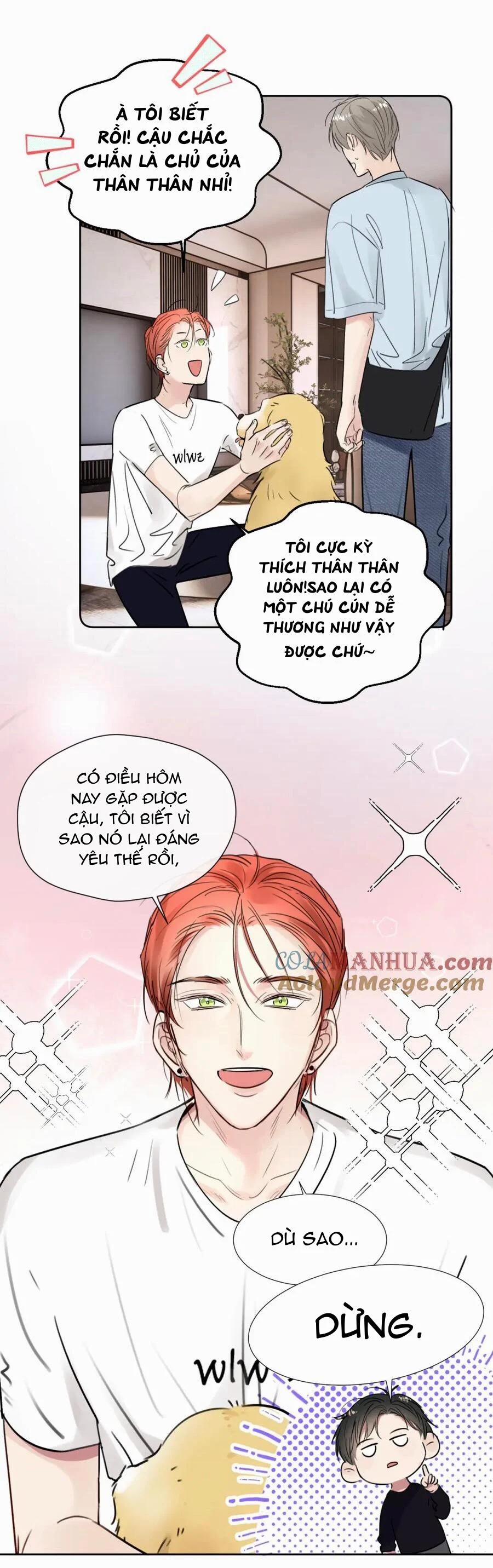 Chó Chuộc Tội 30 trang 3