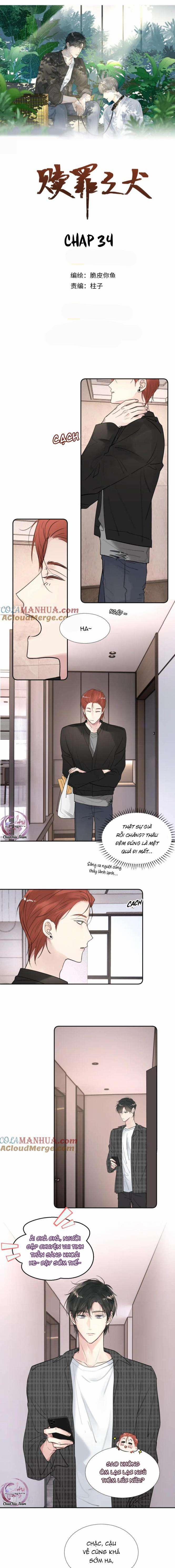 Chó Chuộc Tội 34 trang 0