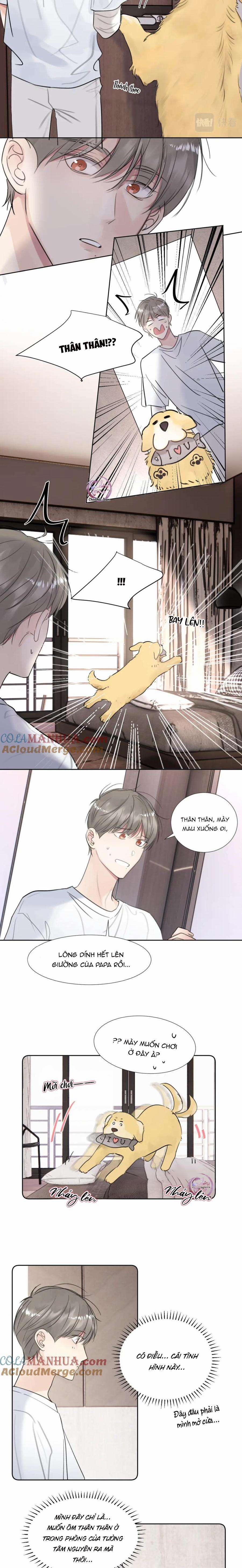 Chó Chuộc Tội 35 trang 4