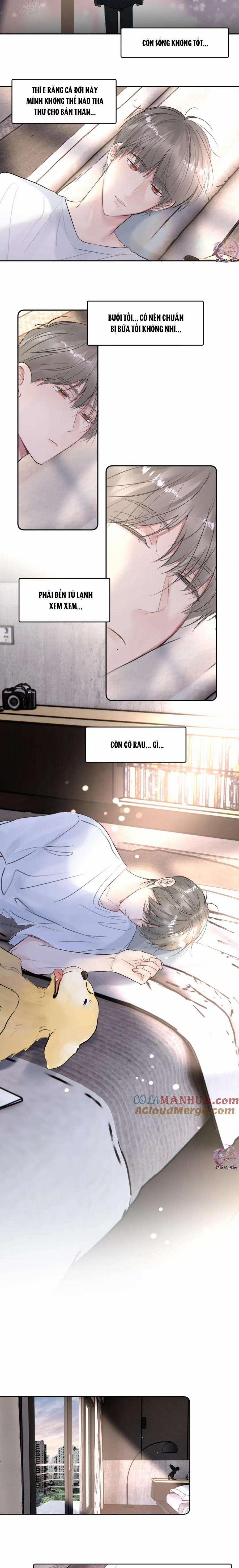 Chó Chuộc Tội 35 trang 7