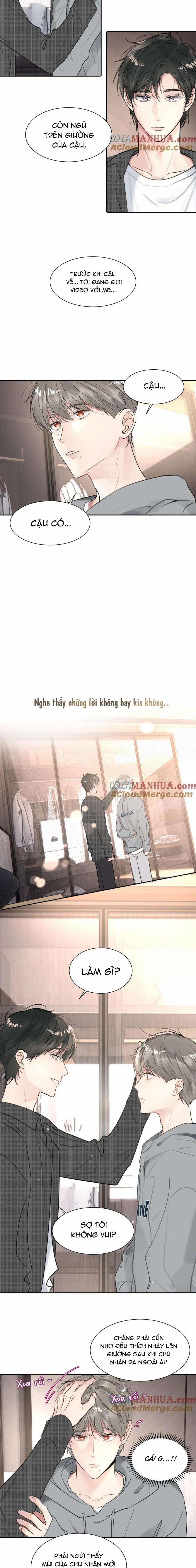 Chó Chuộc Tội 36 trang 6