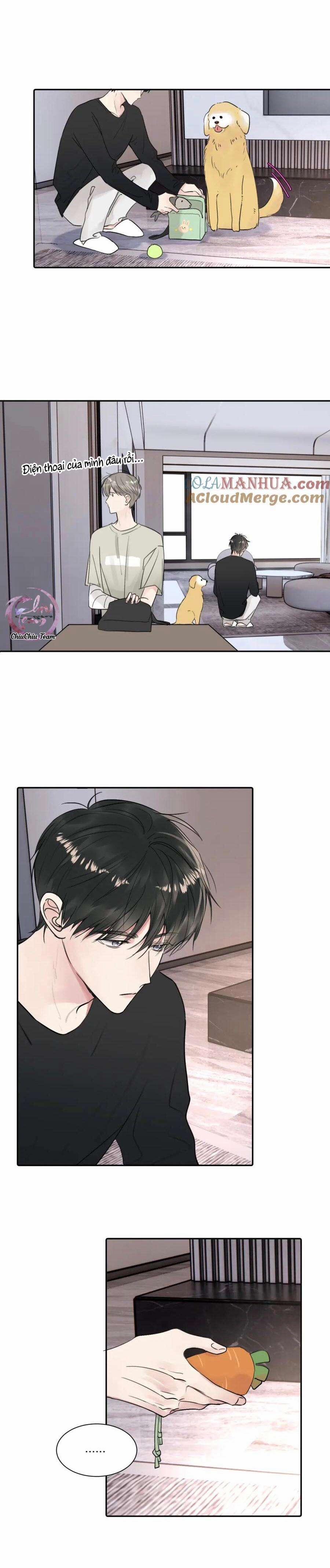 Chó Chuộc Tội 39 trang 6