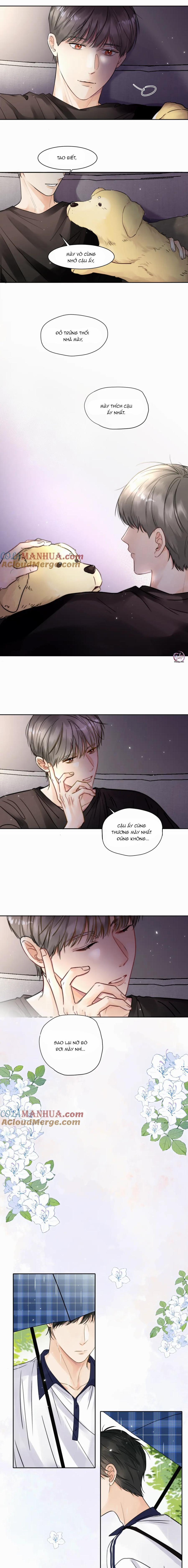 Chó Chuộc Tội 4 trang 8