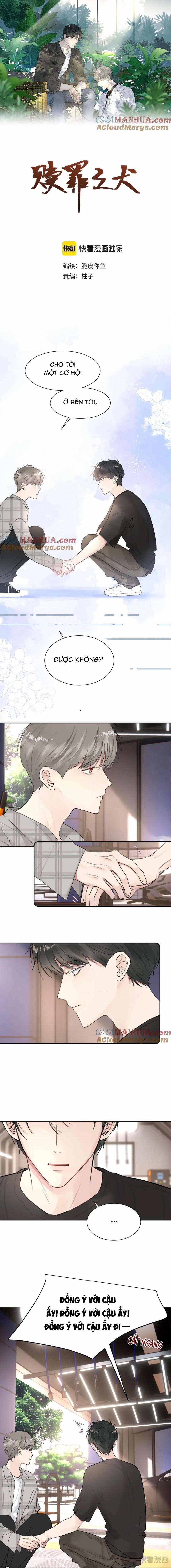 Chó Chuộc Tội 44 trang 0