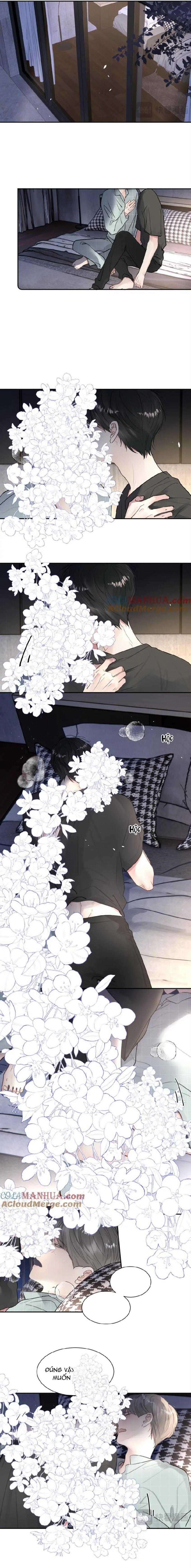 Chó Chuộc Tội 48 trang 5