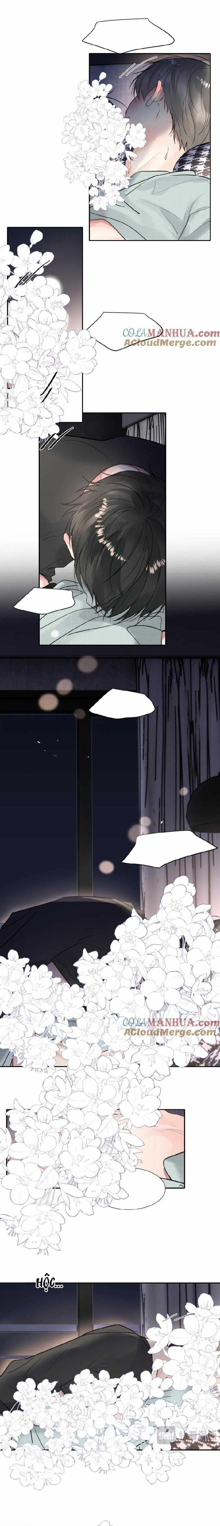 Chó Chuộc Tội 48 trang 8