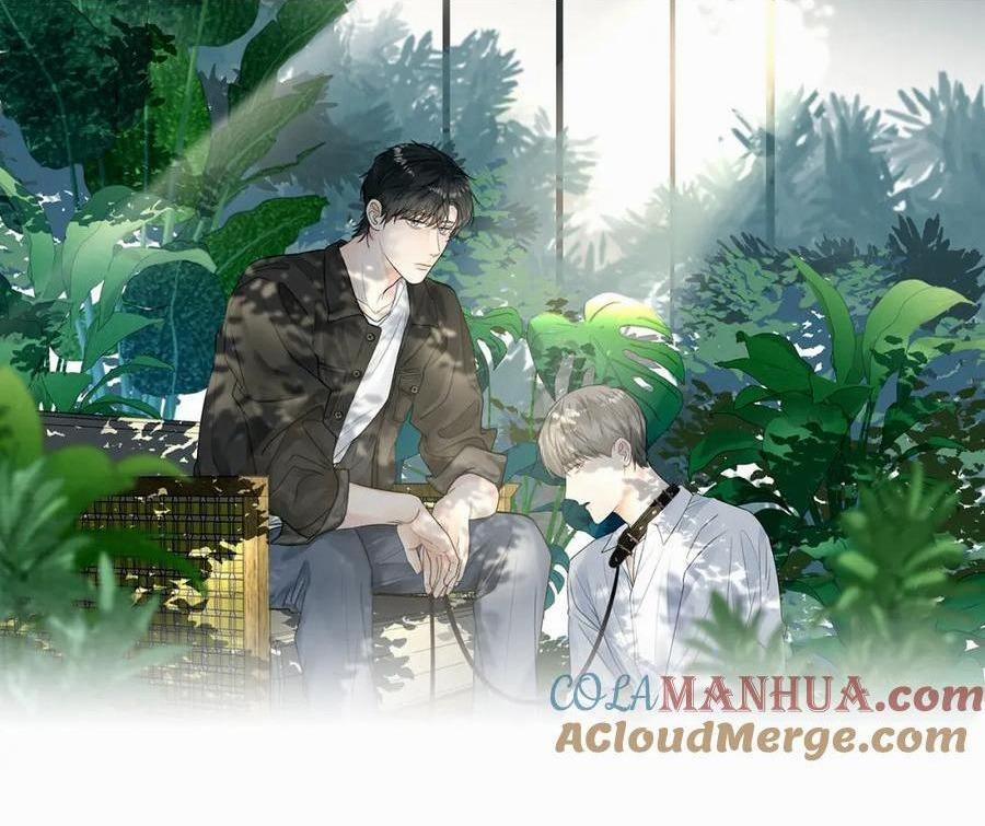 Chó Chuộc Tội 5 trang 0