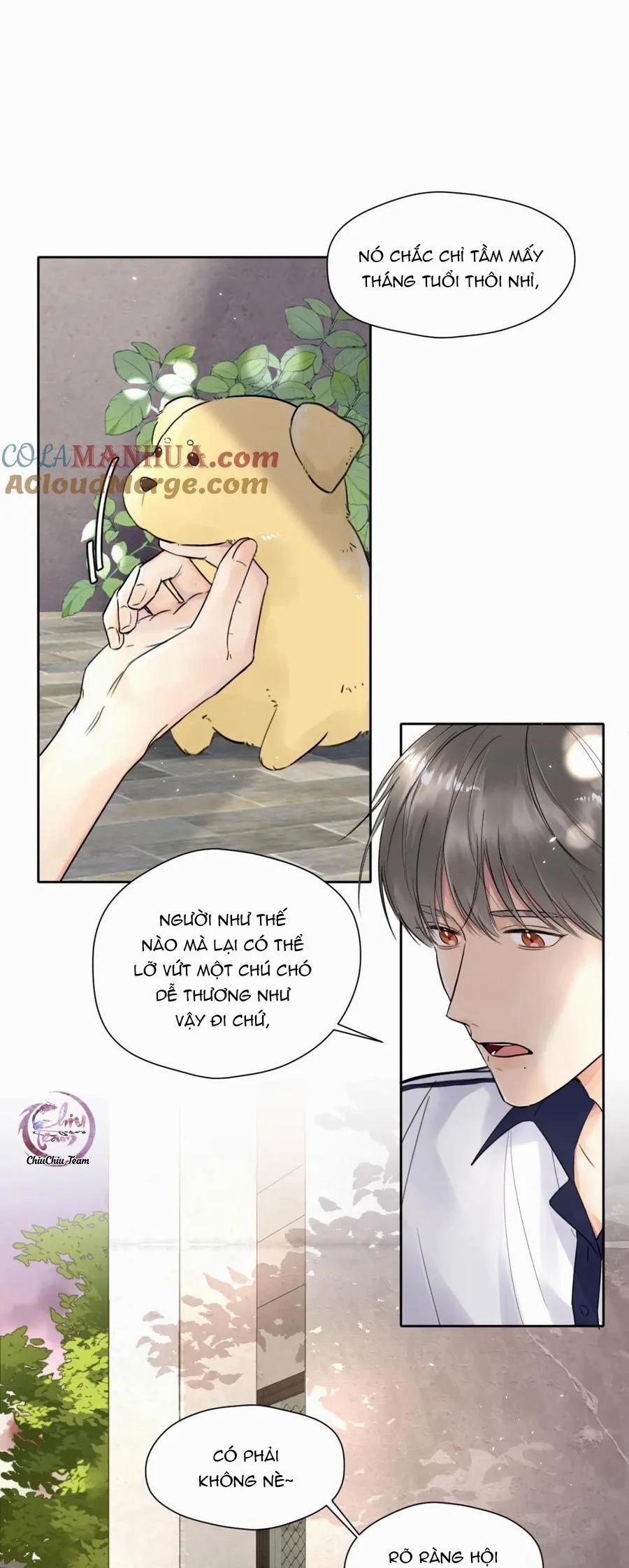 Chó Chuộc Tội 5 trang 1