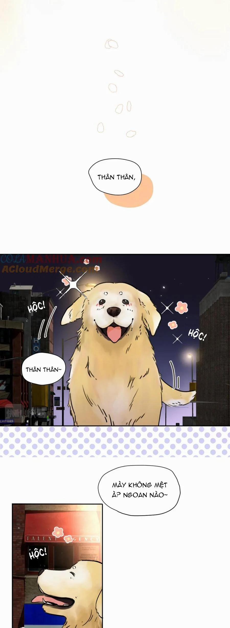 Chó Chuộc Tội 5 trang 16