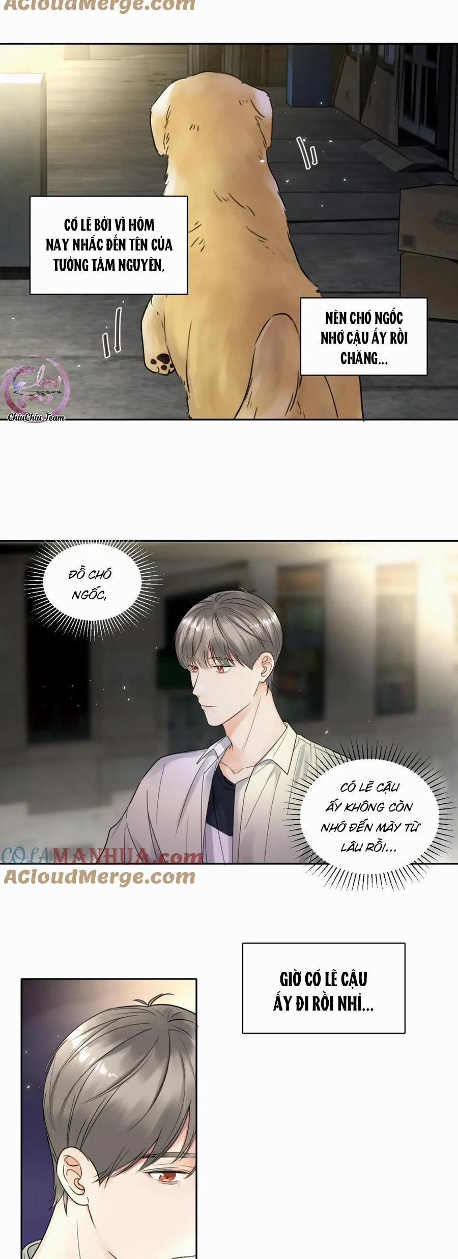 Chó Chuộc Tội 5 trang 20