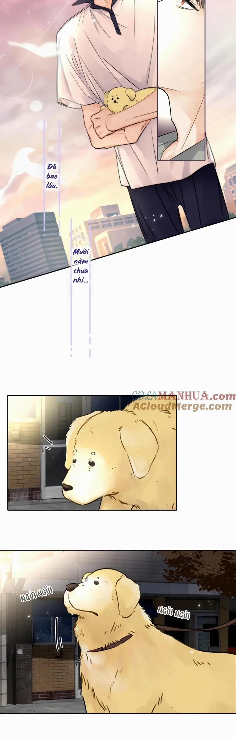 Chó Chuộc Tội 5 trang 22