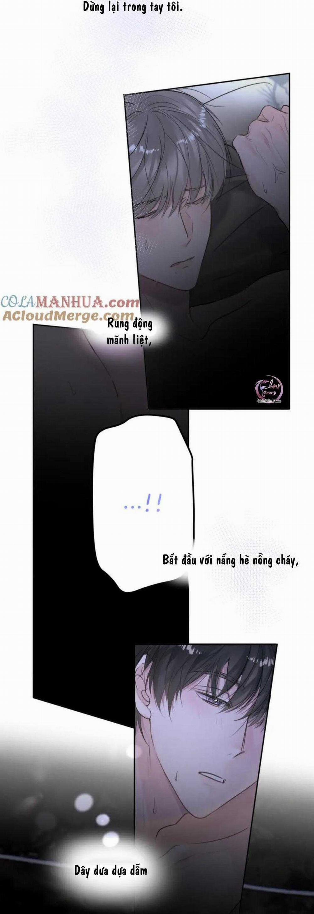 Chó Chuộc Tội 51 trang 5