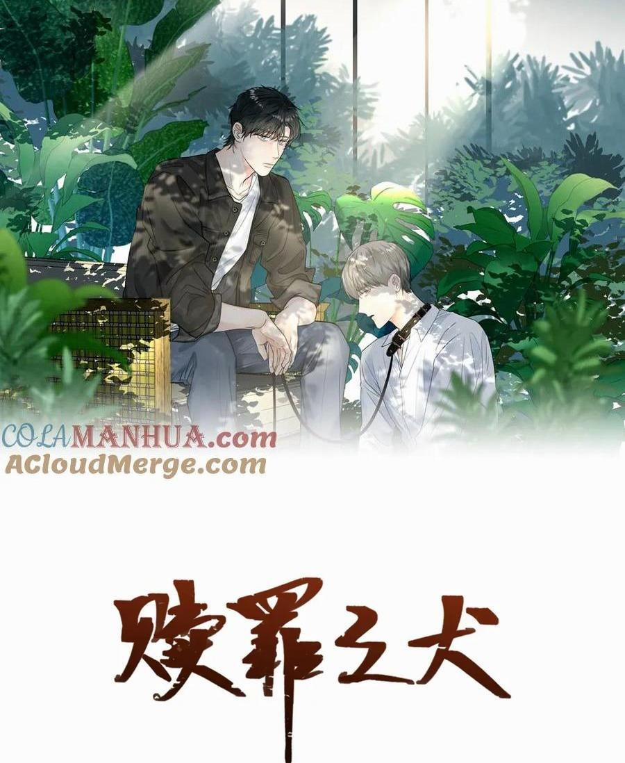 Chó Chuộc Tội 6 trang 0