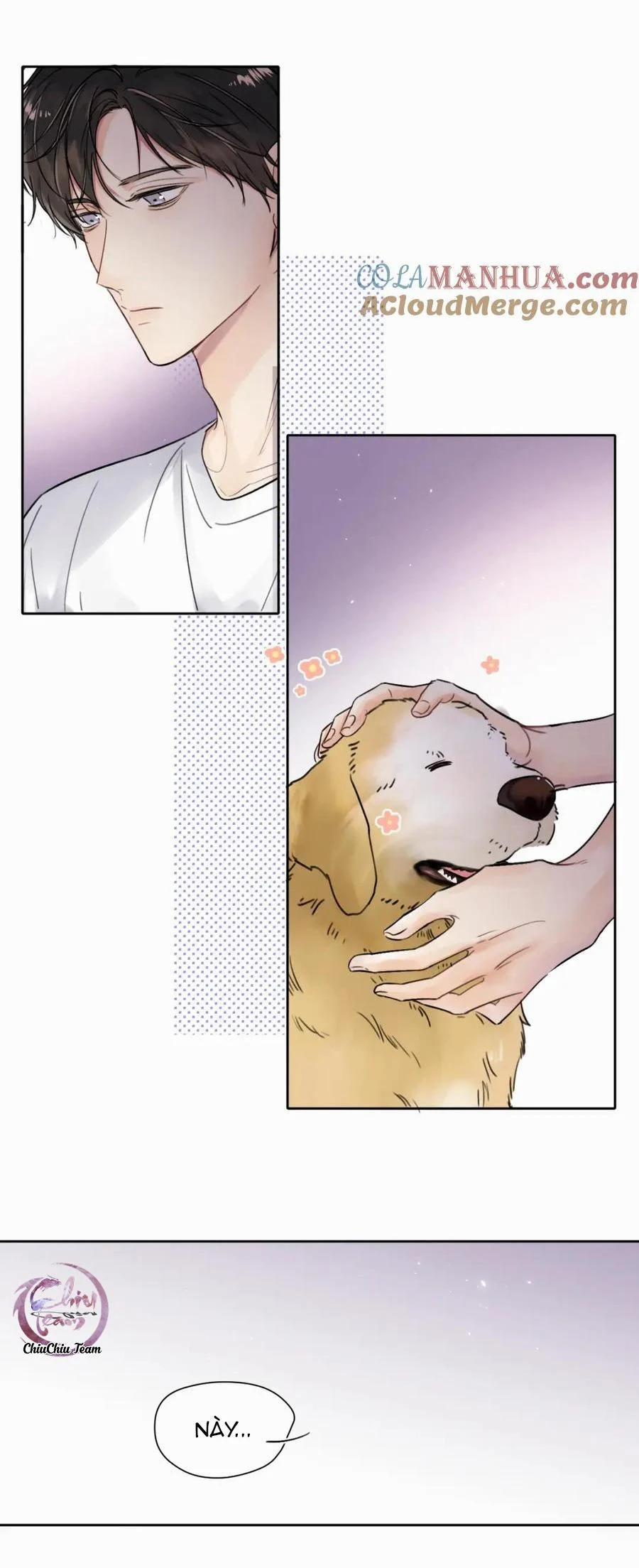 Chó Chuộc Tội 6 trang 17