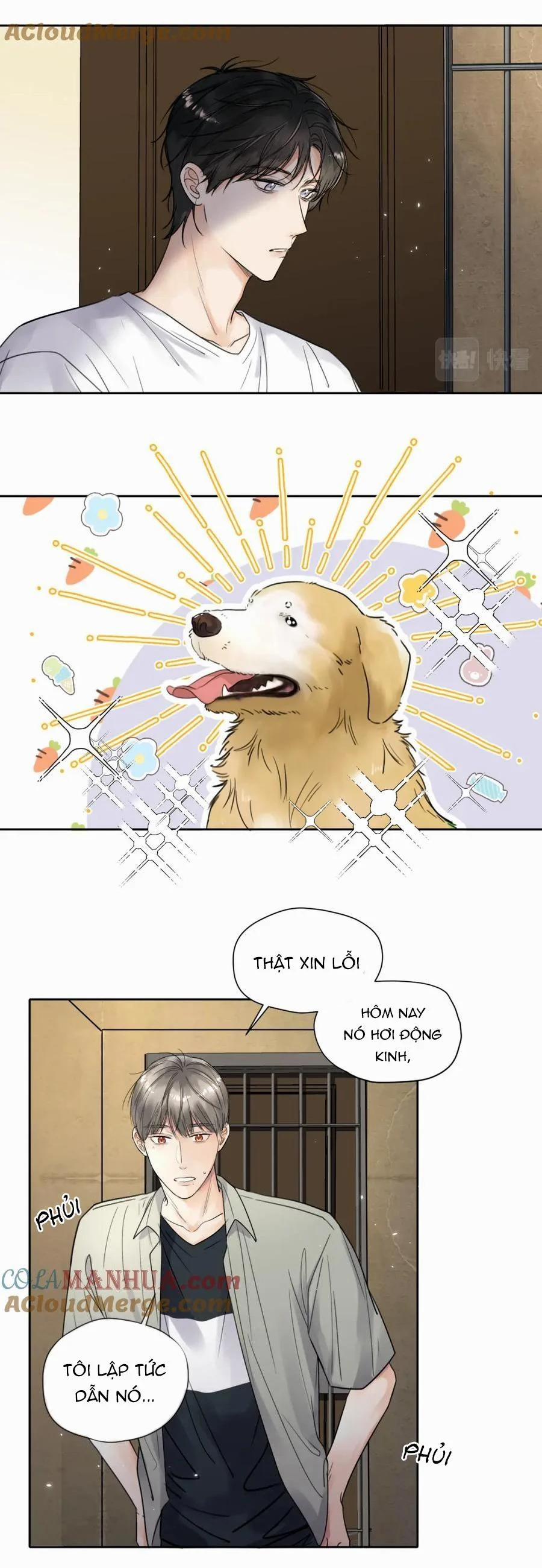 Chó Chuộc Tội 6 trang 9