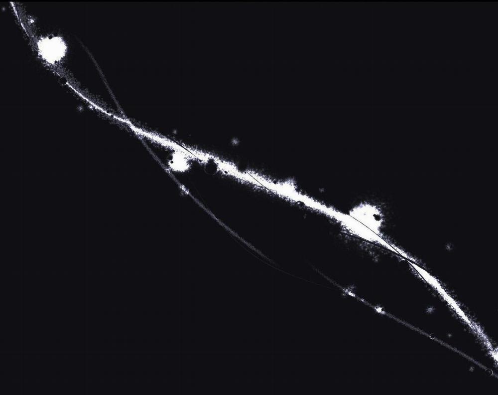 Chờ Chút! Đừng Di Chuyển 1 trang 8