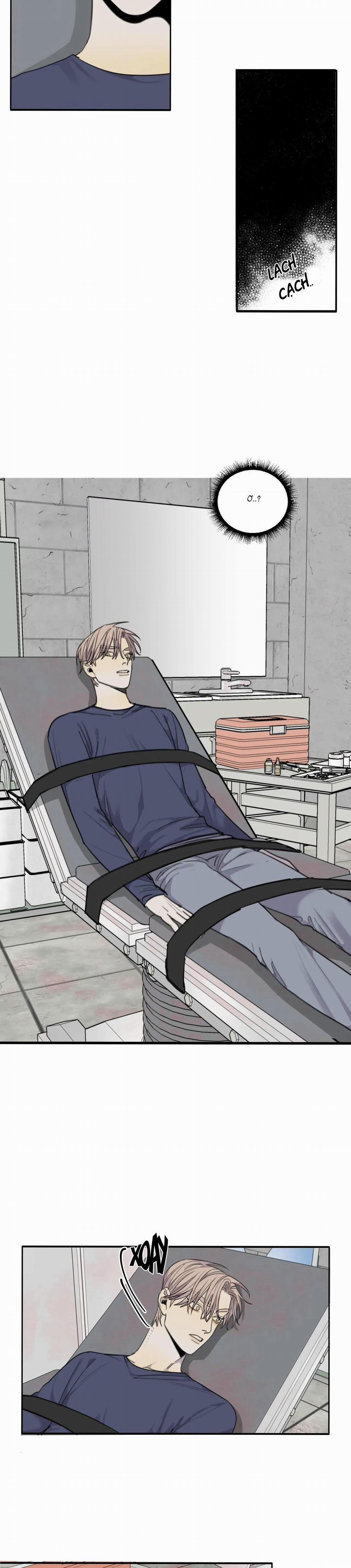 Chó Điên 39 trang 8