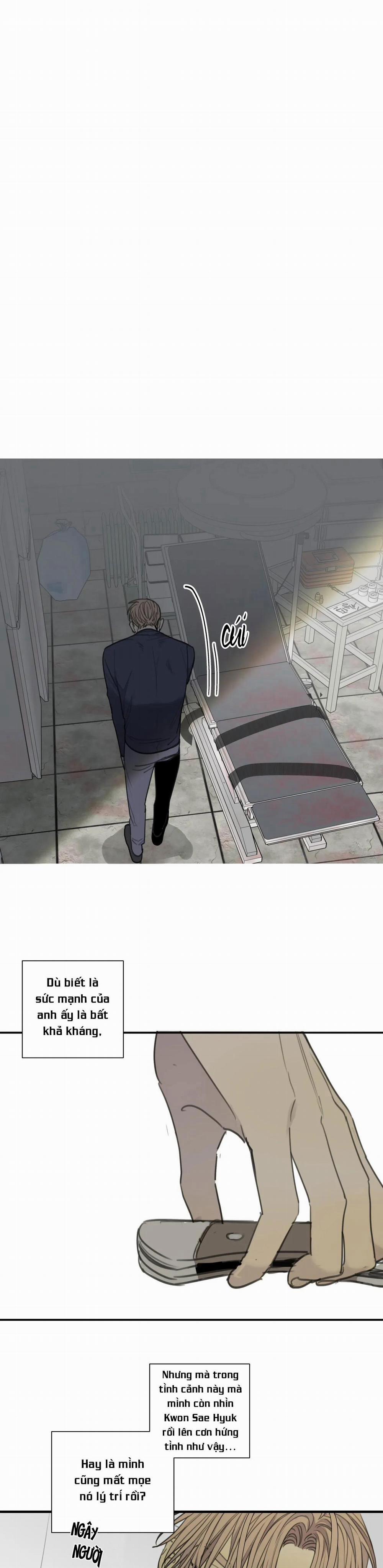 Chó Điên 41 trang 1