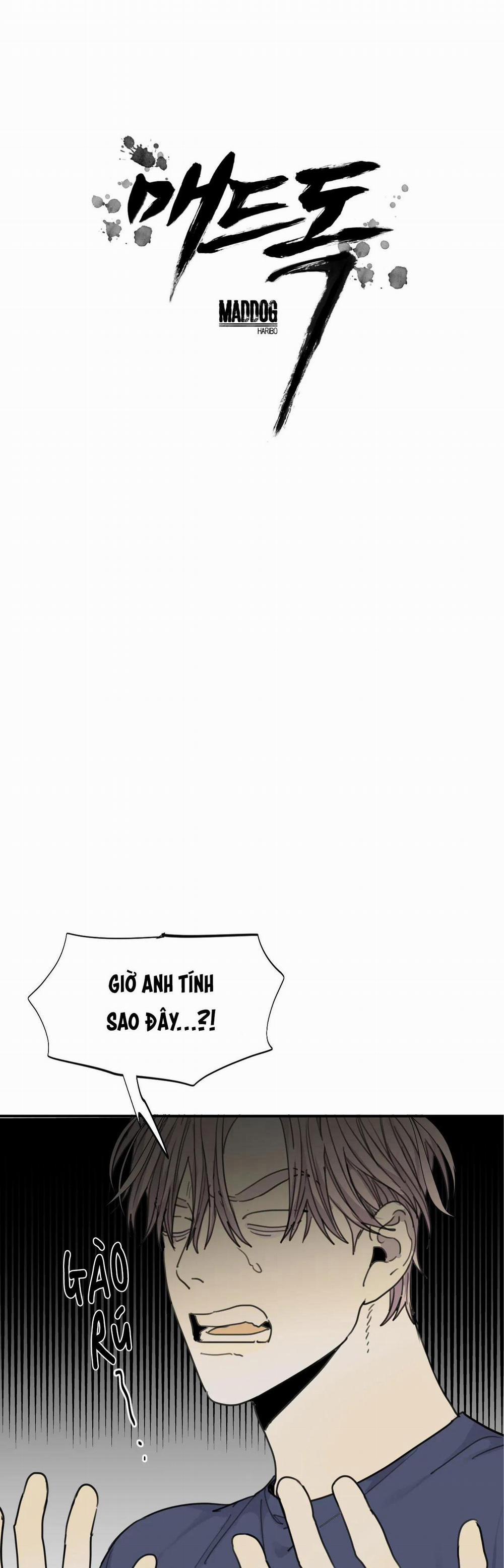 Chó Điên 47 trang 9