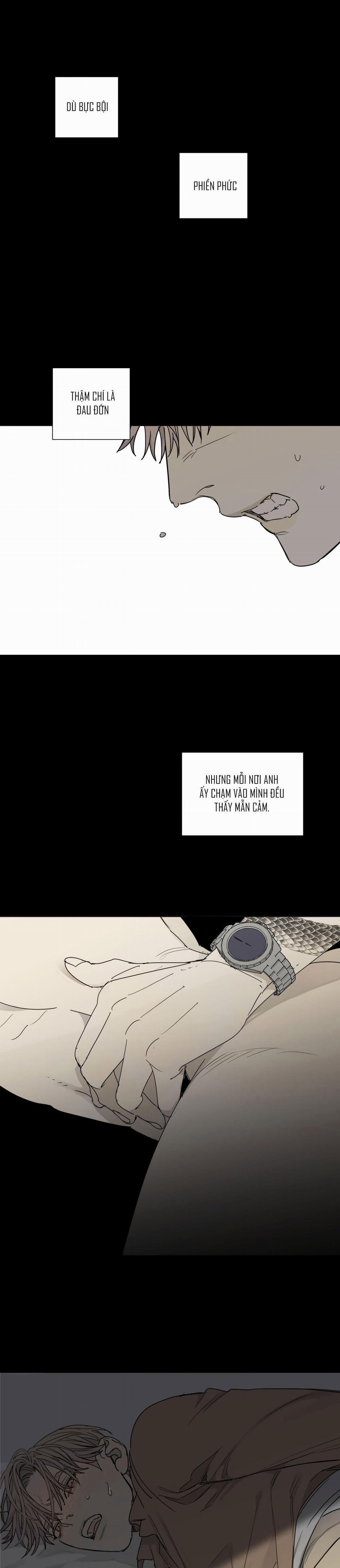 Chó Điên 52 trang 0