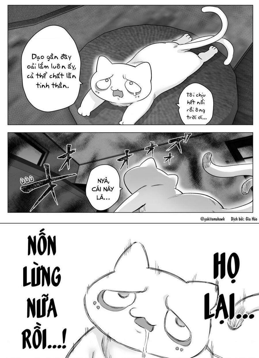 Cho Dù Cổ Không Ăn Lại Nữ Chính, Nhưng Bakeneko-Chan Vẫn Sẽ Cố Gắng 10 trang 0