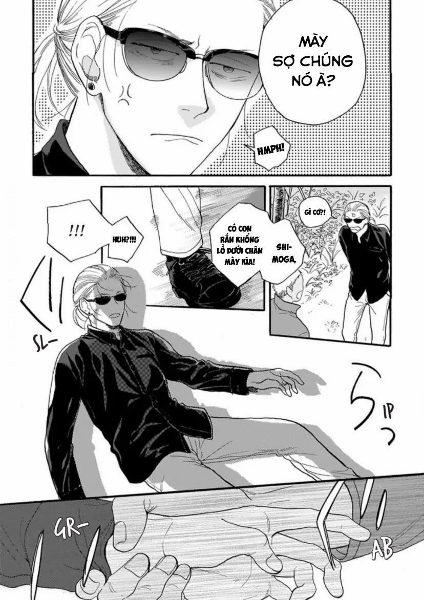 Cho Dù Không Là Định Mệnh 5 trang 7