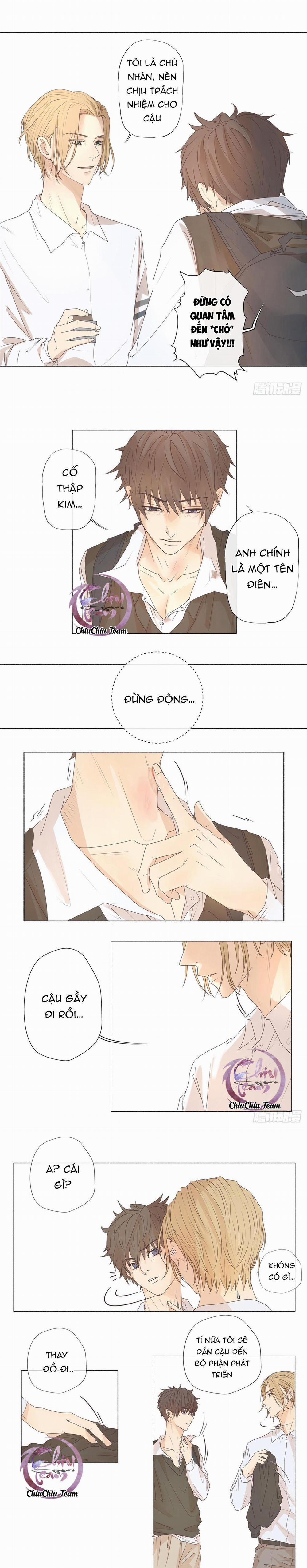 Chó Hư Khó Giữ 3 trang 7