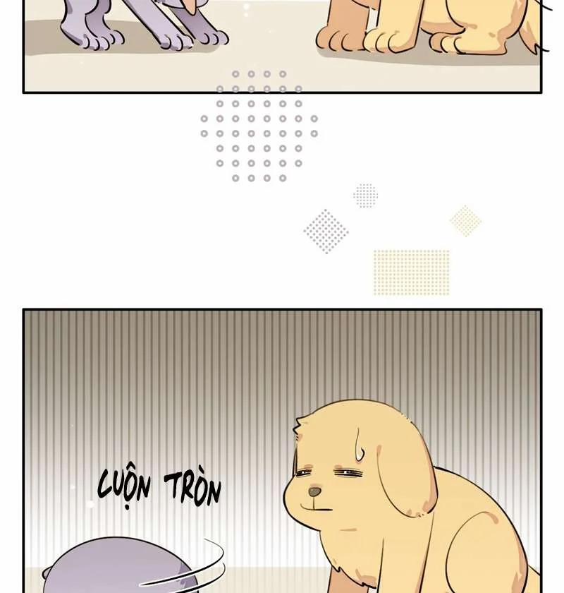 Chó Lớn Bắt Nạt Chủ 75 trang 39