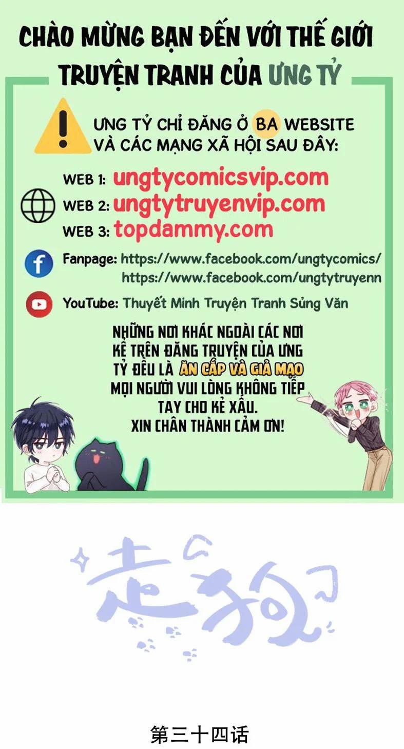 Chó Săn 34 trang 0