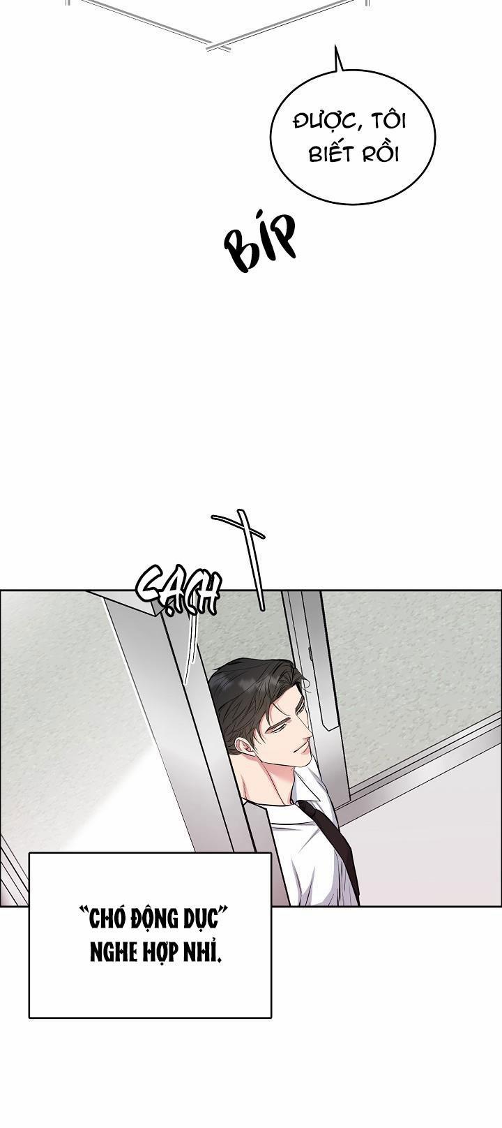 Chó Và Chim 10 HHHH trang 21