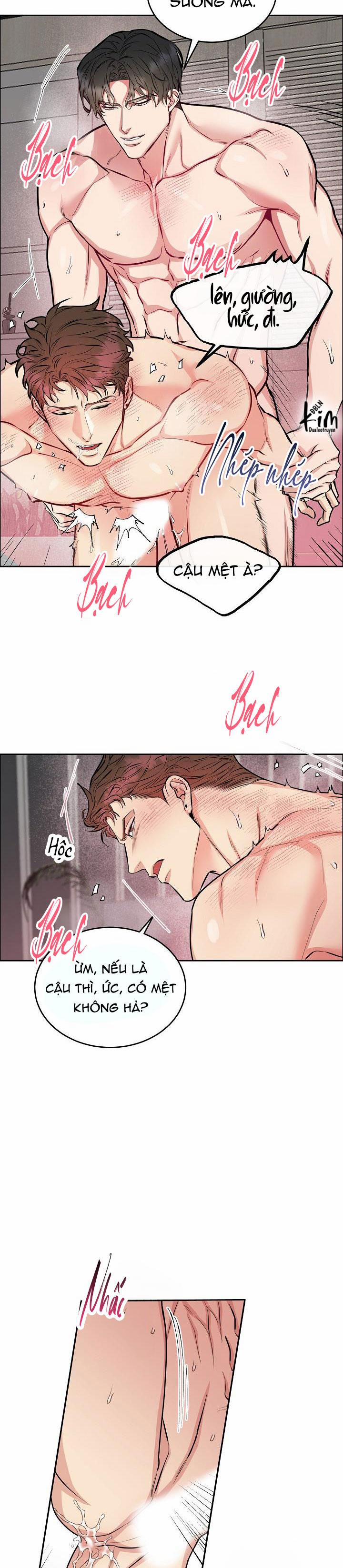 Chó Và Chim 10 HHHH trang 3