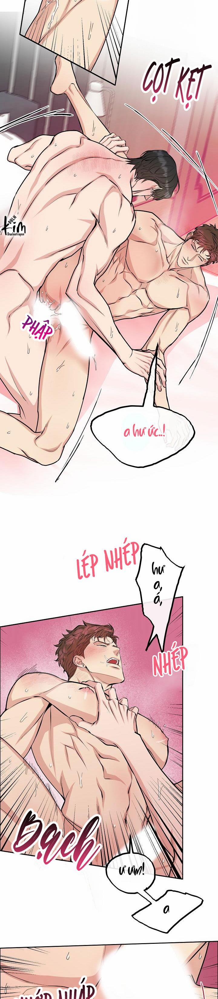 Chó Và Chim 10 HHHH trang 4