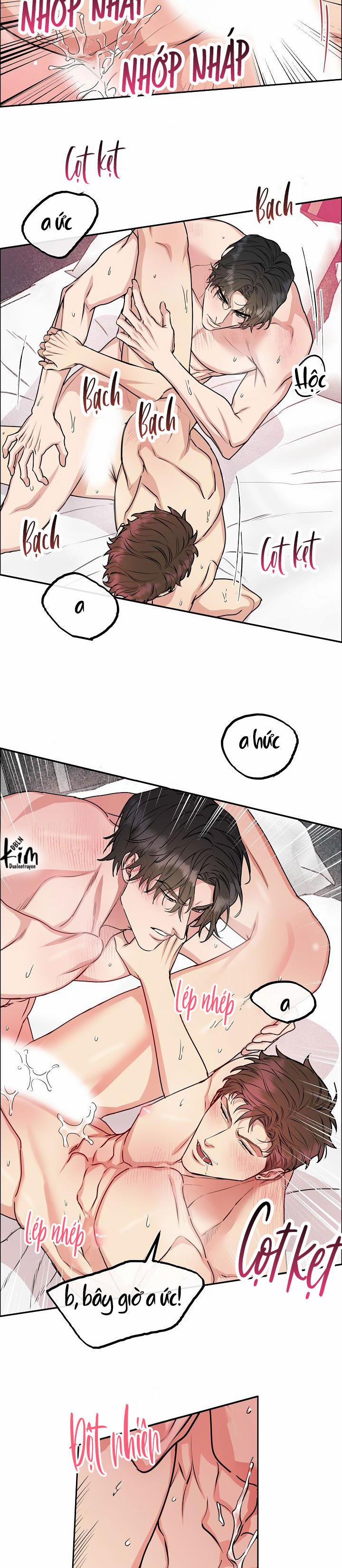 Chó Và Chim 10 HHHH trang 5