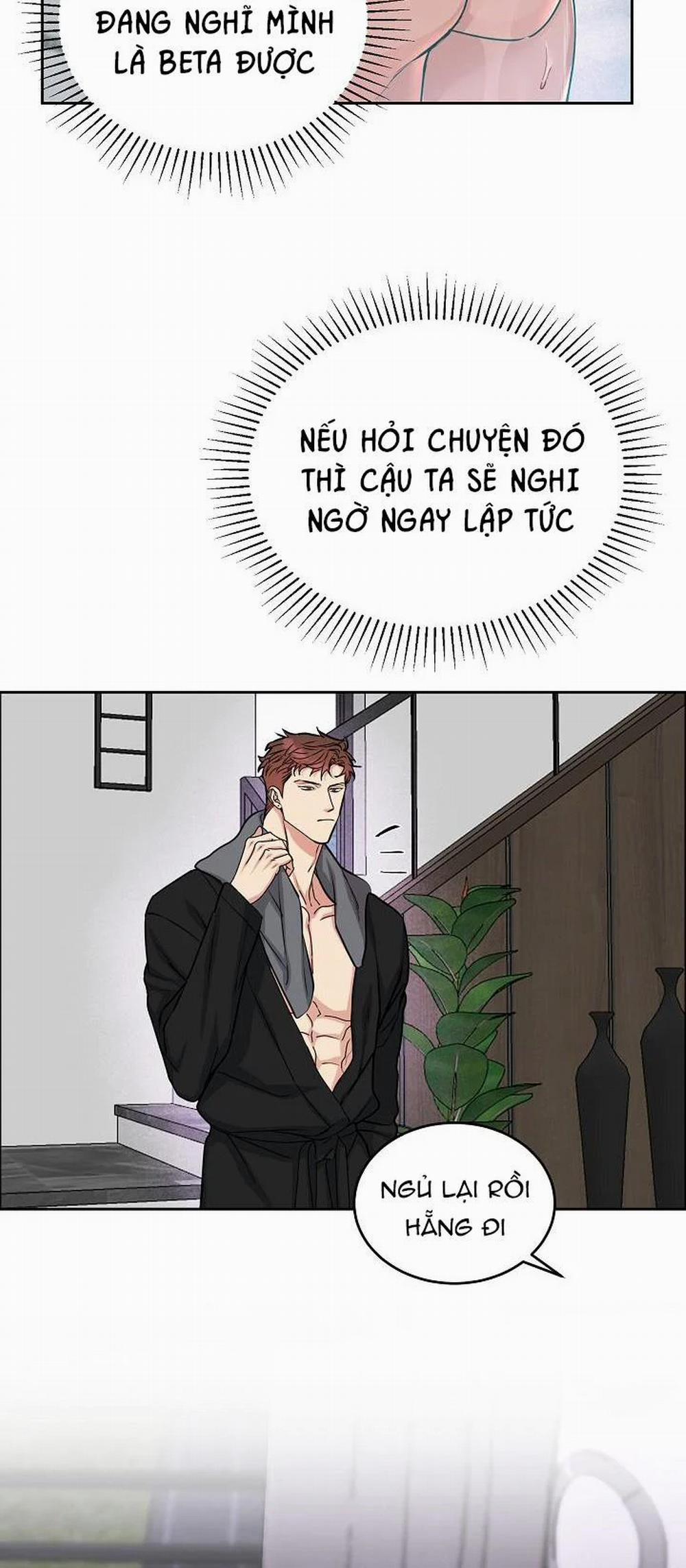 Chó Và Chim 11 trang 17