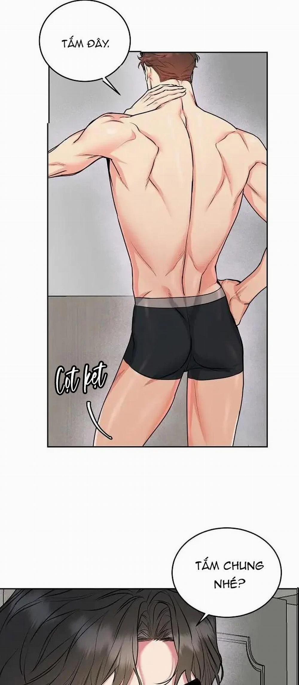 Chó Và Chim 11 trang 8