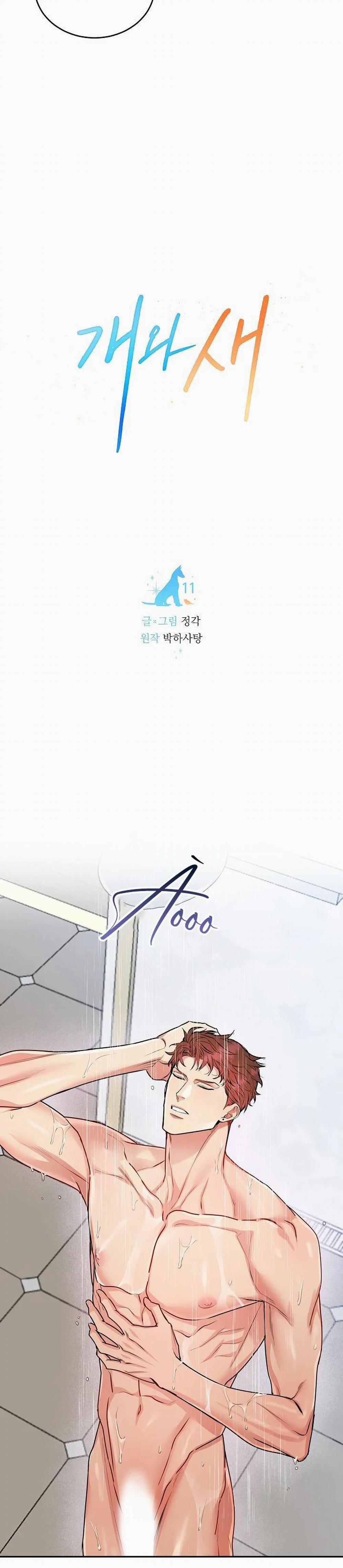 Chó Và Chim 12 trang 5