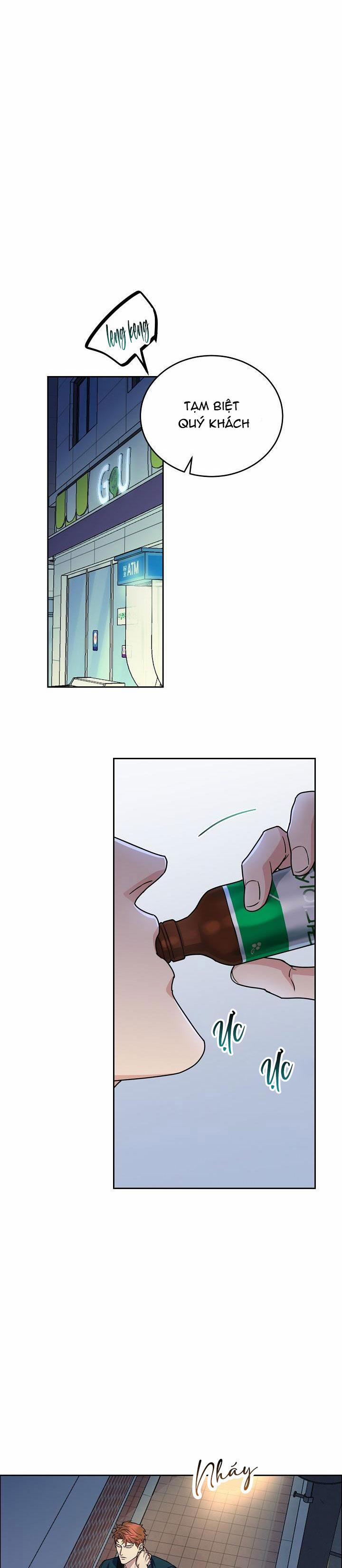 Chó Và Chim 14 trang 13