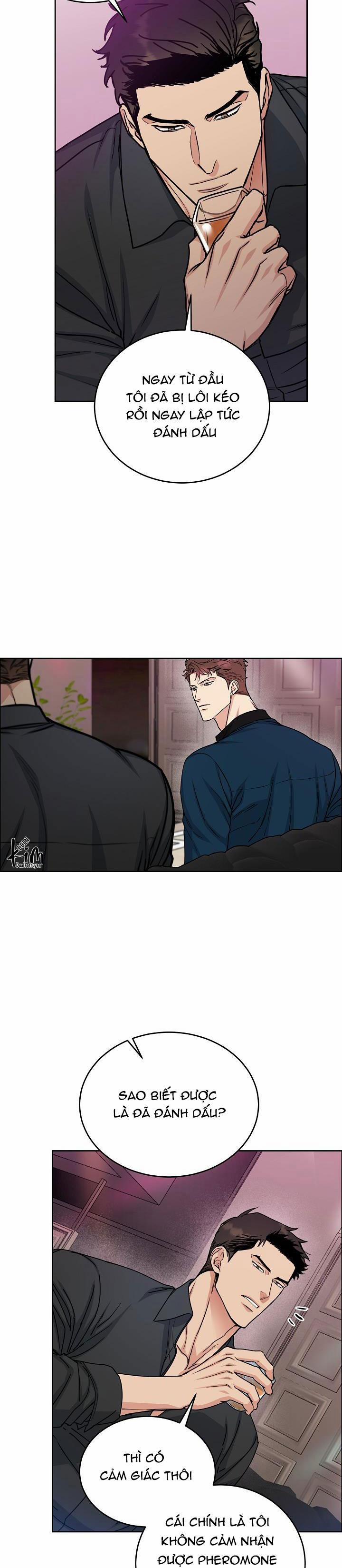 Chó Và Chim 14 trang 4